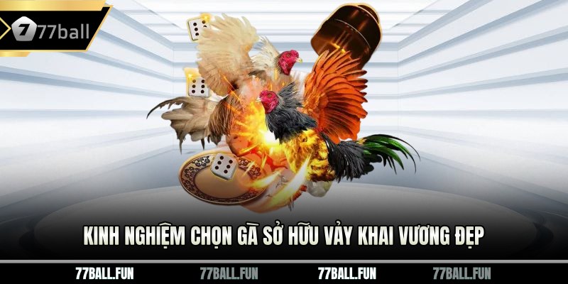 Kinh nghiệm chọn gà sở hữu vảy khai vương đẹp