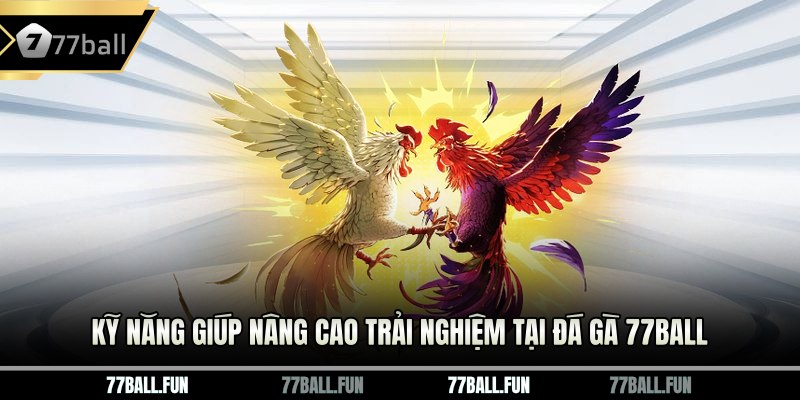 Kỹ năng giúp nâng cao trải nghiệm tại đá gà 77ball