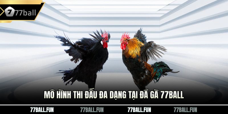 Mô hình thi đấu đa dạng tại đá gà 77ball